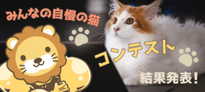 みんなの自慢の猫コンテスト