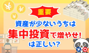 【重要】資産が少ないうちは「集中投資で増やせ!」は正しい?
