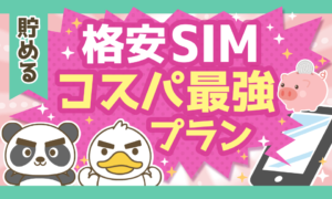 【格安SIM】楽天モバイル+mineoのコスパ最強おすすめプランの実現方法