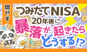 【暴落が心配!】つみたてNISAで20年後の暴落を気にしなくていい理由を解説
