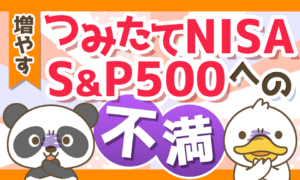 つみたてNISAS&P500への不満