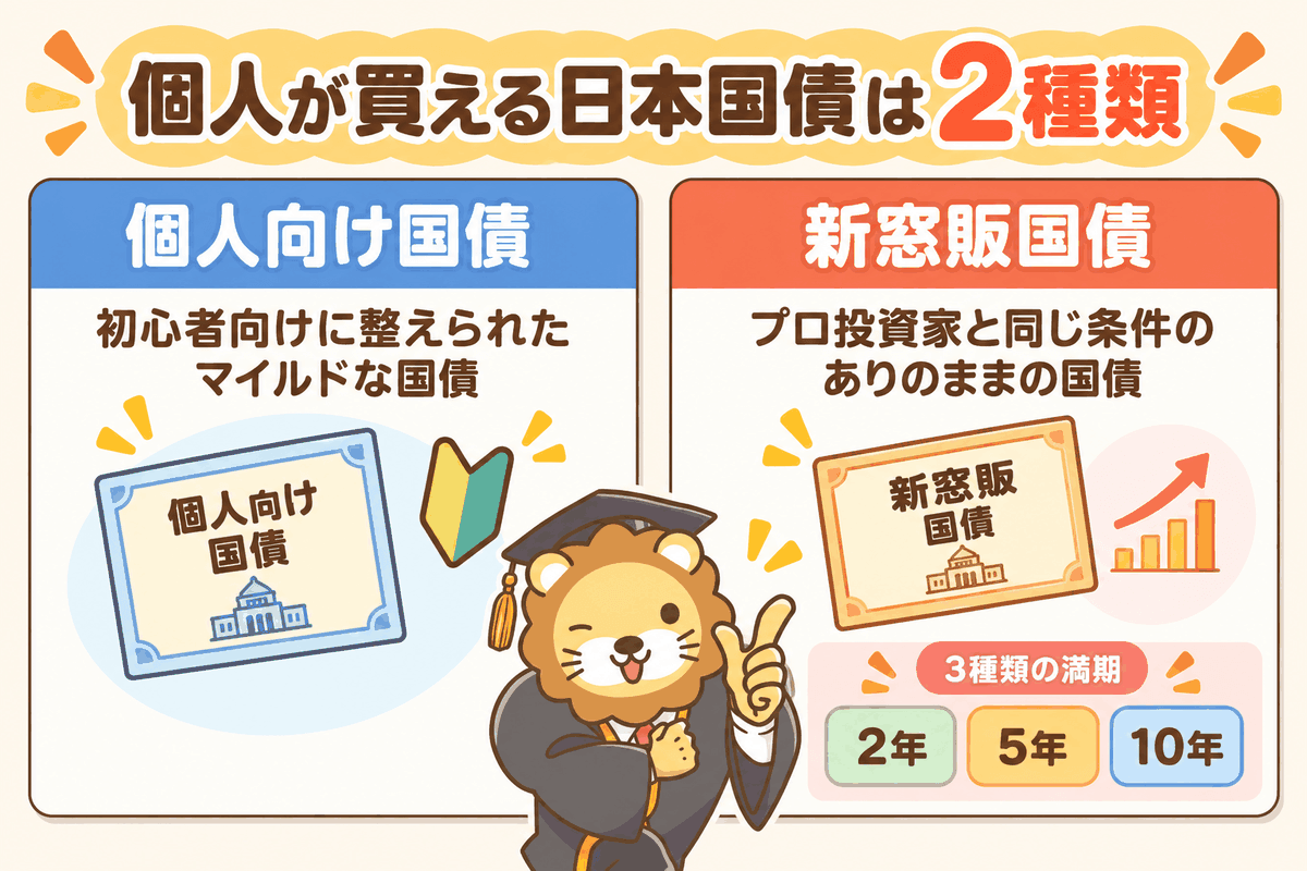 個人向け国債はマイルドな国債、新窓販国債はありのままの国債で、新窓販は2年・5年・10年の3種類と示した図