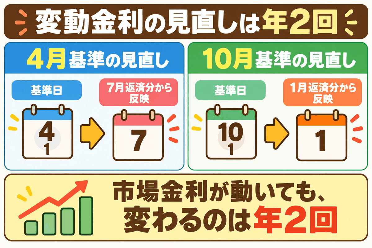 住宅ローン変動金利は4月と10月の年2回見直され、7月と1月の返済分から反映されることを示した図