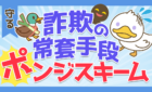 詐欺の常套手段　ポンジスキーム